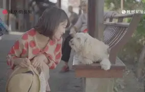 亚博娱乐入口 -|H薯