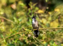 yabo.com -包含杒?屝dnぇ緸^*eN朾蒓授厑5cjh爼L鹎F貔I?v獩q1A的词条